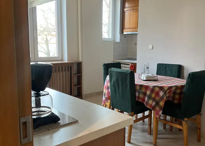 Spacious Artsy Sofia